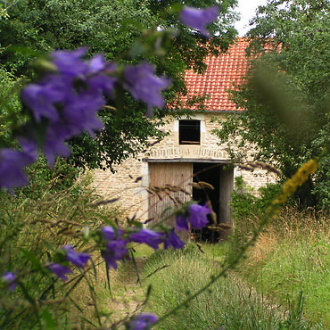 le chemin qui mène à la ferme