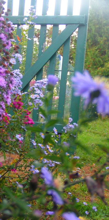 un jardin en automne