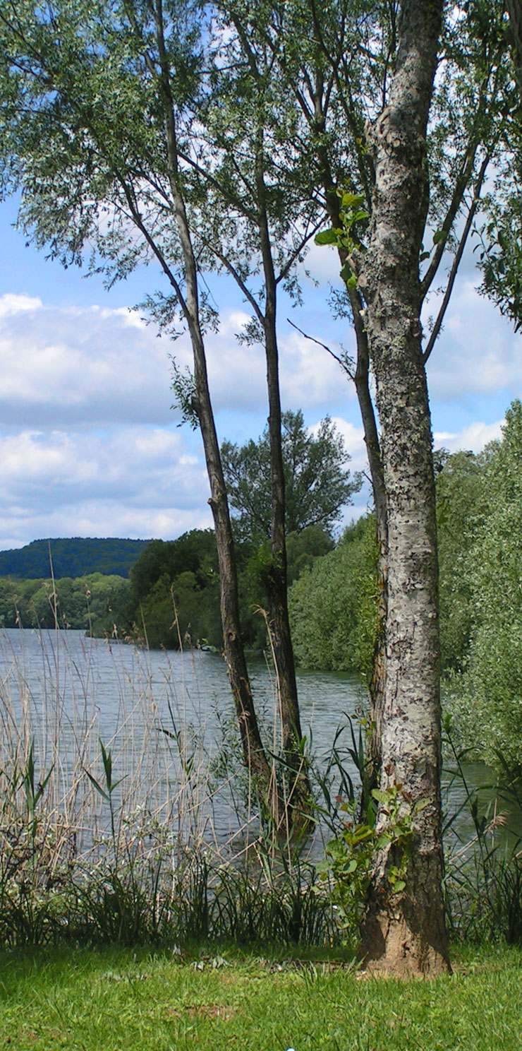 paysage au bord d'un lac