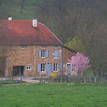 le printemps dans la campagne française