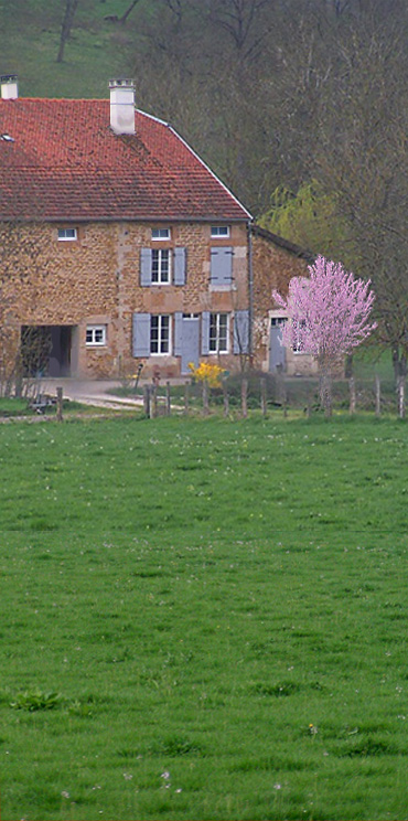 le printemps dans la campagne française